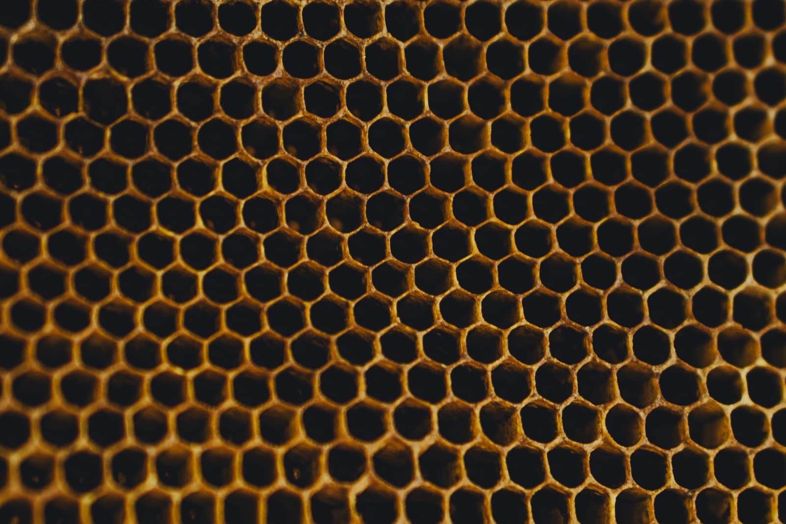 A honeycomb cellular shade fitted inside a window recess