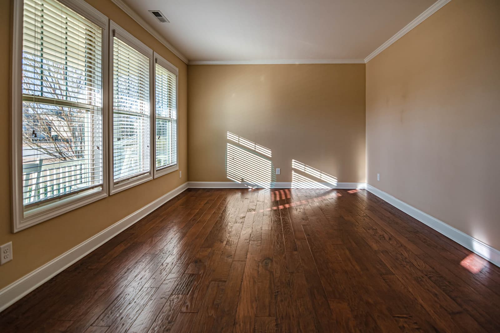 Strong sunlight falling across a living room floor through a large window