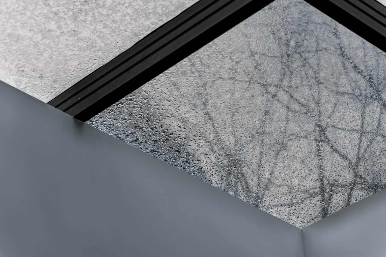 Frosted privacy film on a window with soft daylight behind it